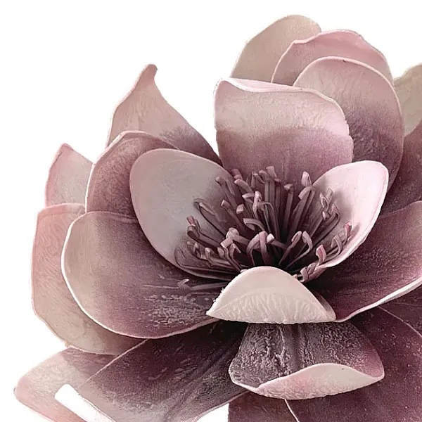 images/categories_images/thumbs/thumb_FOAM 2025a.webp